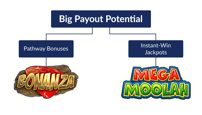choose bonus round for big payouts