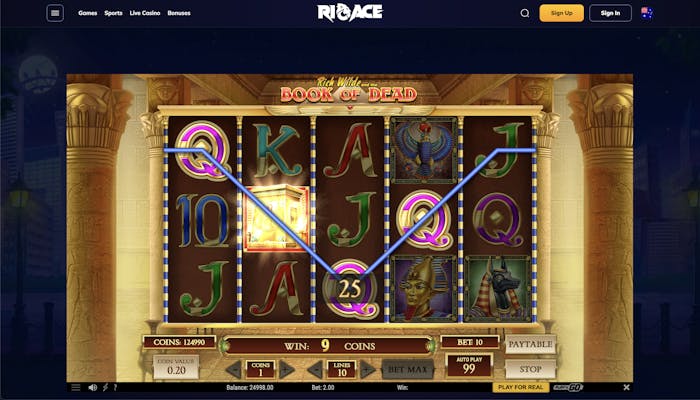 Book of Dead slot game at Rio Ace Casino with a highlighted 25-payline win, displaying symbols like queens, kings, and a golden chest.