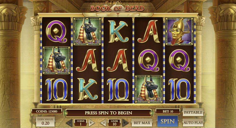 book of dead slot on a spin with no winning results