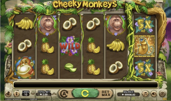 cheeky monkey slot