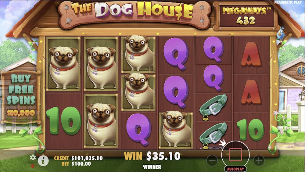 dog house slot