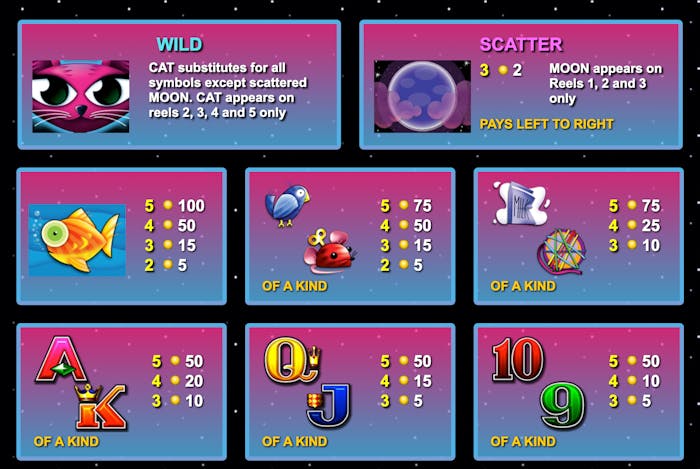 miss kitty slot symbols