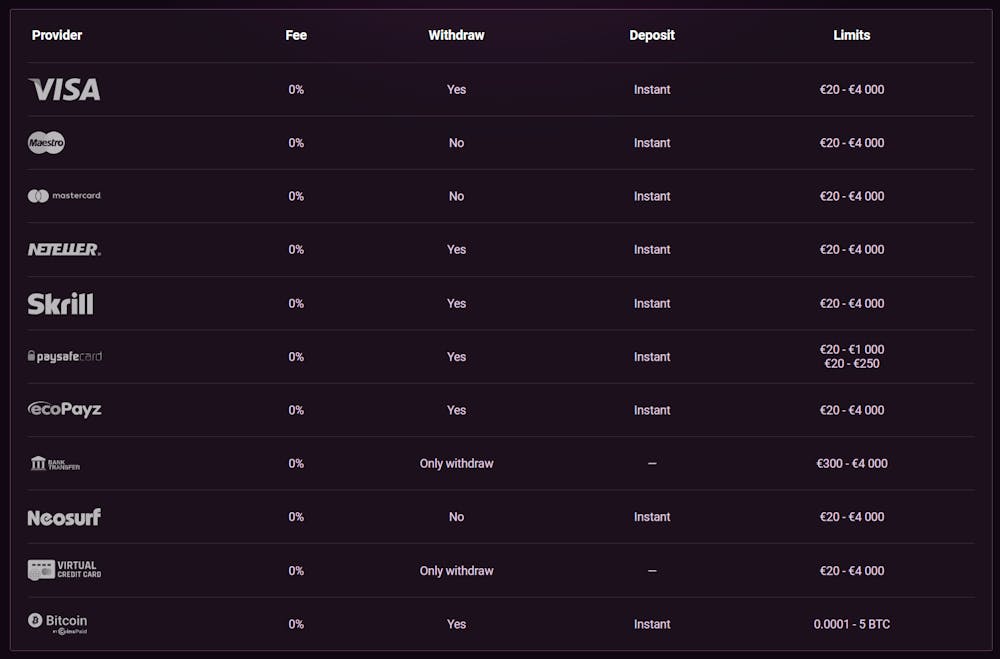 Ricky Casino payment options