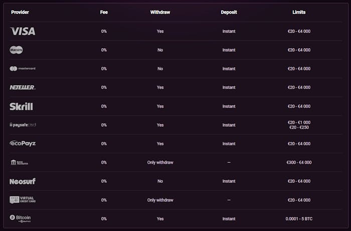 Ricky Casino payment options