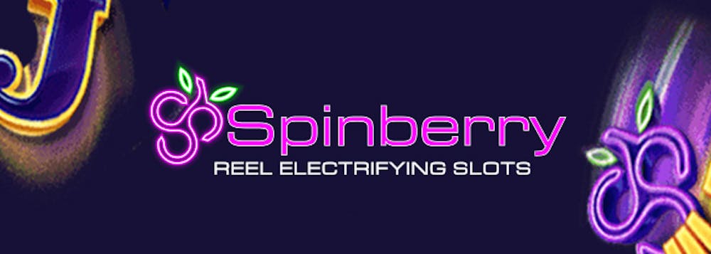 spinberry logo with purple writing on a blue background