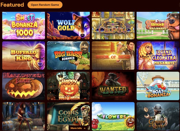 Featured slots and games displayed at Spins Castle, including 'Sweet Bonanza 1000,' 'Wolf Gold,' 'Cleopatra,' 'The Dog House Megaways,' and more popular slots.