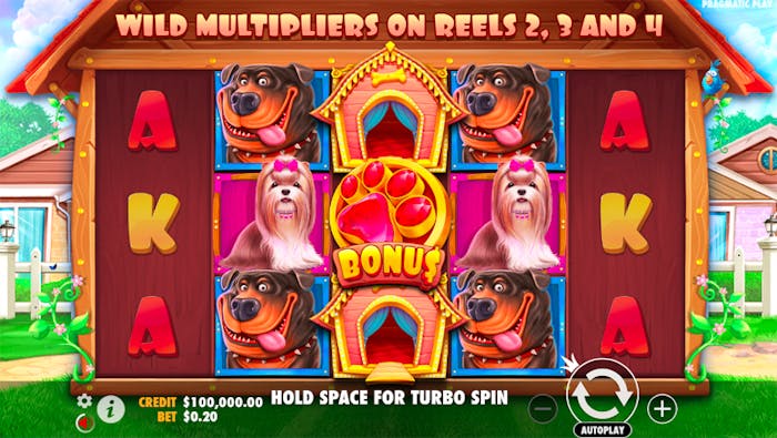 the dog house bonus buy feature