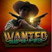 Wanted Dead or A Wild: Paylines, Symbols, RTP & Free Play